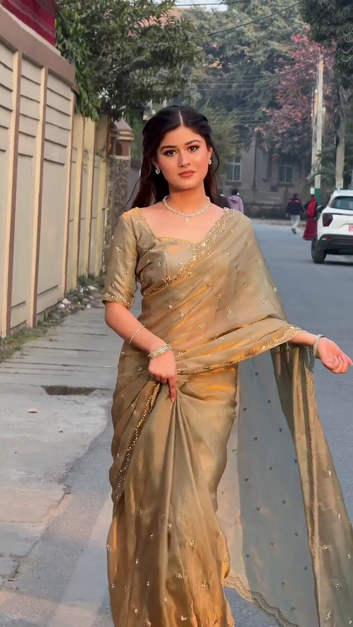 🤎 Olive Gold Saree with Subtle Sparkle