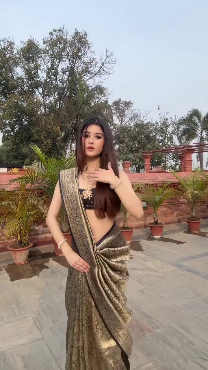 Bronze & Gold Saree with Contemporary Drape