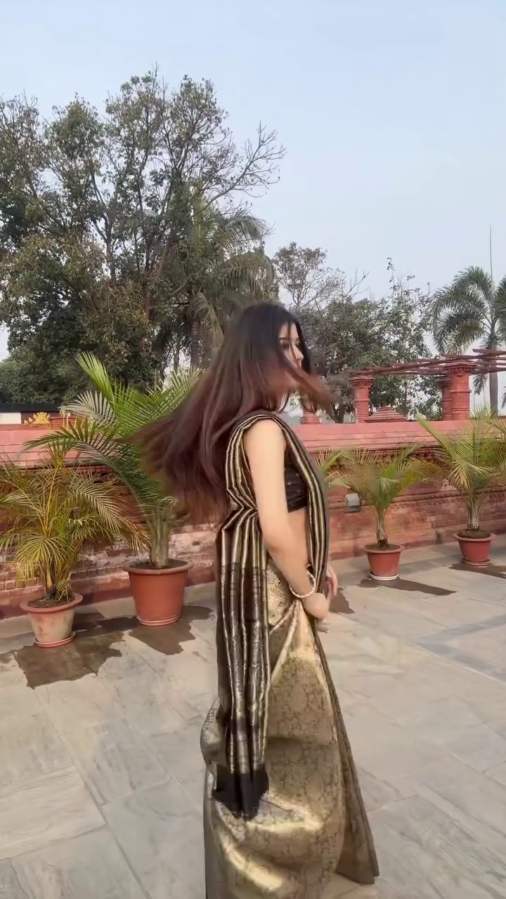 Bronze & Gold Saree with Contemporary Drape